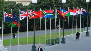 Picture shows numerous international flags on the forecourt of Parliament