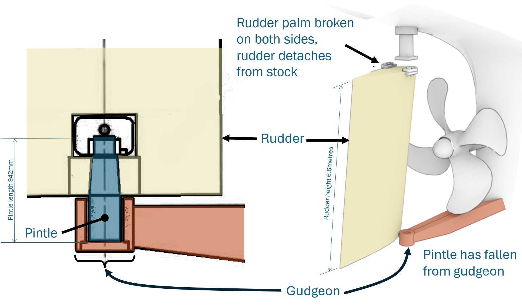 Diagram of a cargo ship’s rudder assembly showing failure of a pintle-and-gudgeon support system. The right-hand 3D illustration depicts the rudder detached from the rudder stock after the rudder palm fractured on both sides. The lower pintle has dropped out of the gudgeon bracket on the hull, leaving the rudder unsupported at its base. A four-bladed propeller is shown forward of the rudder. The left-hand inset shows a cross-sectional detail of the pintle seated within the gudgeon prior to failure, with components clearly labelled. Arrows and labels highlight the rudder, pintle, gudgeon, and fracture locations.