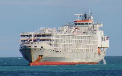 Photo of Gulf Livestock 1. Photo: Frans Truyens via Vessel Finder