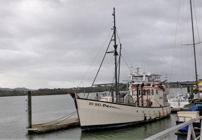 The Boy Roel, a 15m fishing vessel, lies alongside at a wharf. Photo taken 2018 