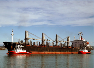 The IDAS Bulker entering Napier Harbour. Courtesy of Tony Des Landes.