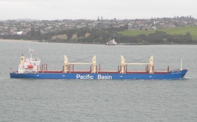 The bulk carrier Mount Hikurangi. Credit -.