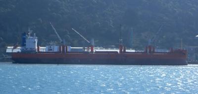 The Molly Manx at Ravensbourne Fertiliser Terminal in Dunedin. TAIC photo