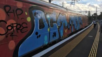 The tagged train at Baldwin Ave station. Photo supplied.