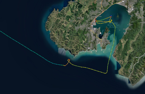 The ferry MV Kaitaki's route on the evening of 28 January and the next morning. Image: MARINETRAFFIC.COM/SUPPLIED Graphic superimposed on sattellite map of Cook Strait and Wellington harbour. Depicts route and speed of the ferry before, during and after the incident.